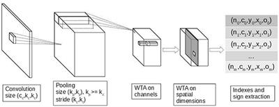 Unsupervised Feature Learning With Winner-Takes-All Based STDP